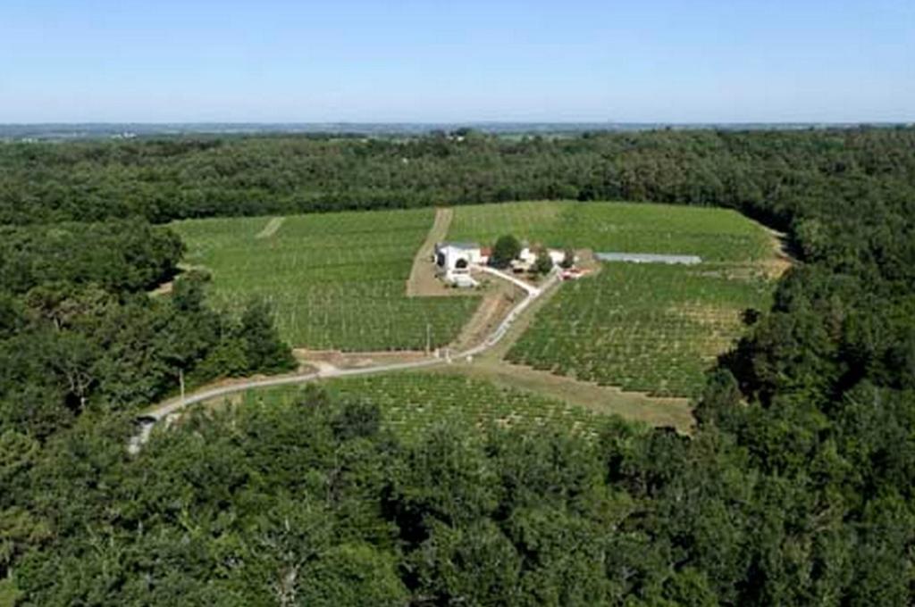Domaine De Grand Homme Hotel Burdeos Exterior foto